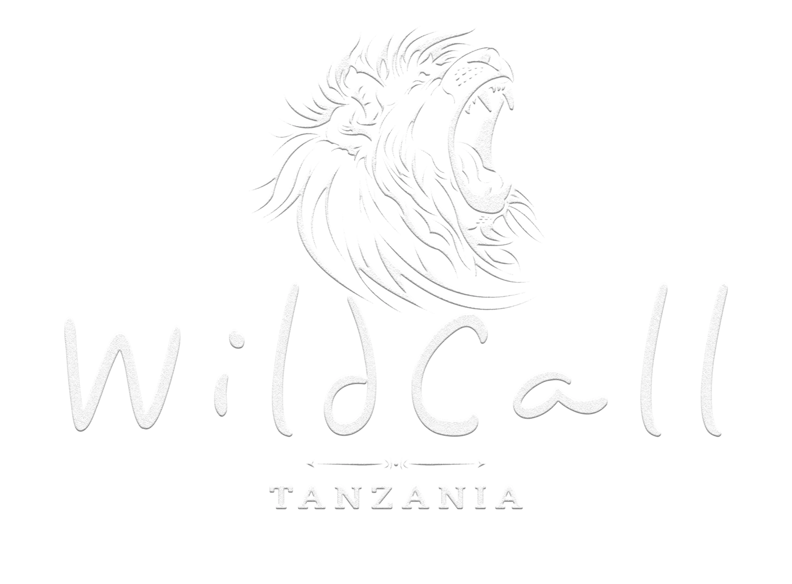 Wild Call Tanzania Safaris