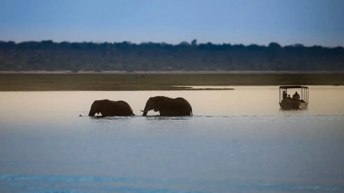 Saadani National Park landscape