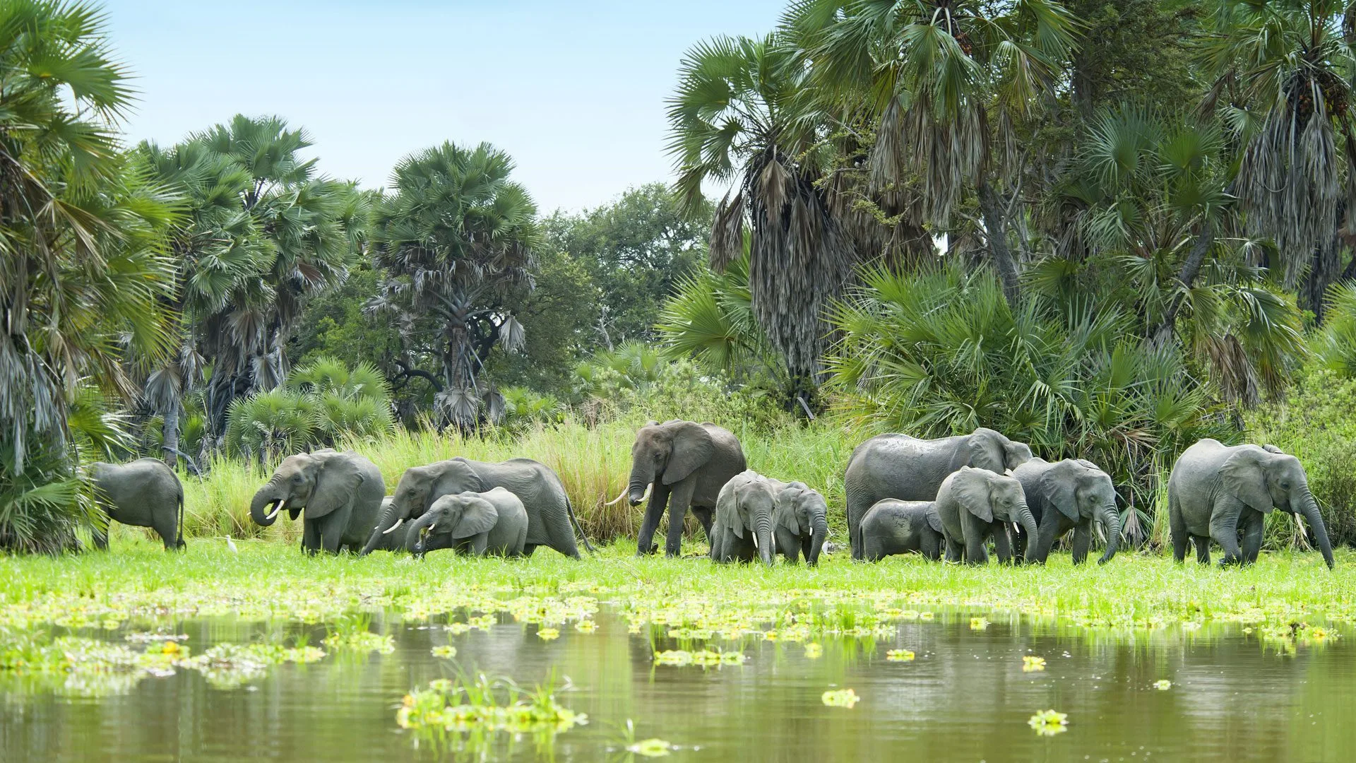 Selous Game Reserve (Nyerere National Park)