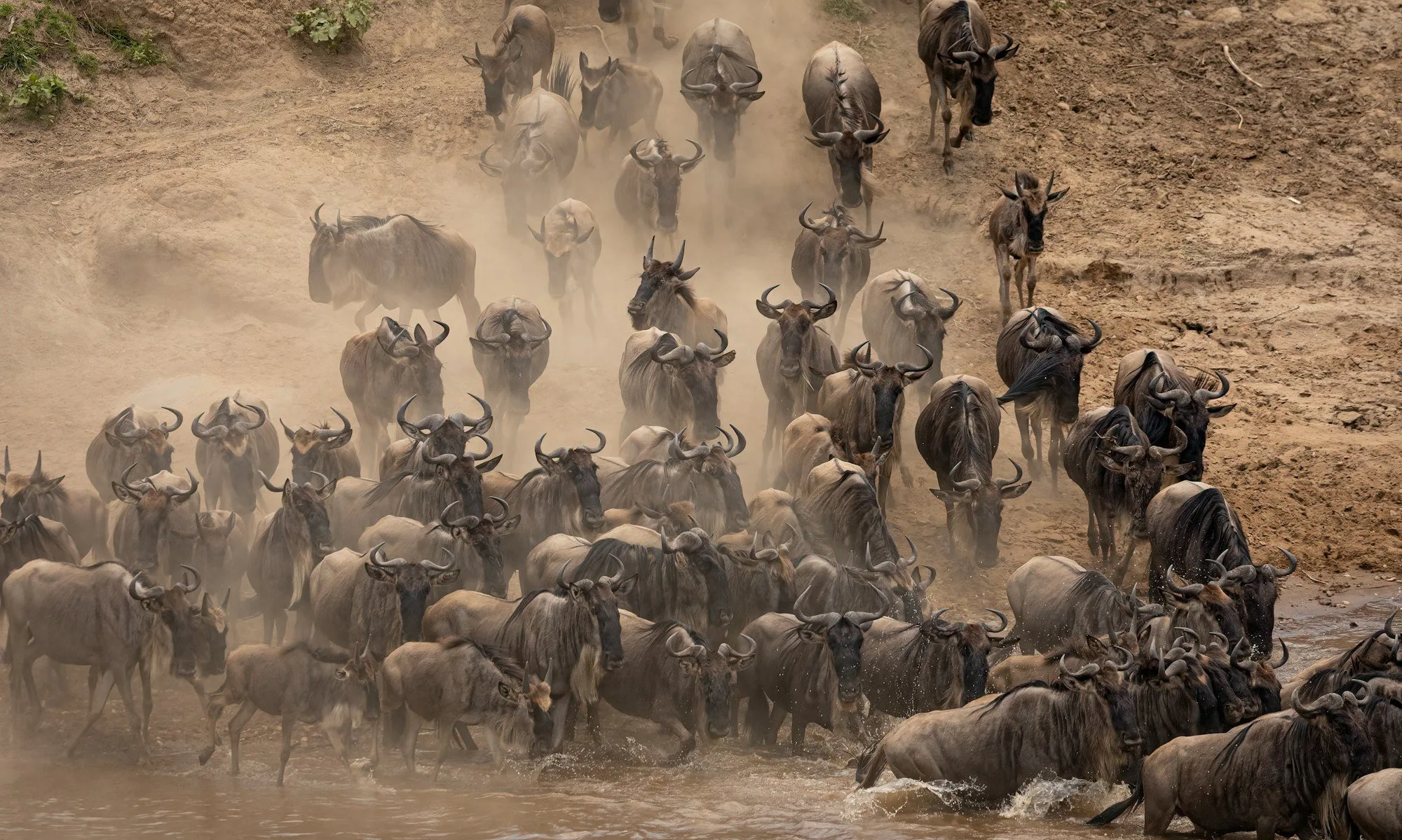 8-Day Magnificent Crossing Safari