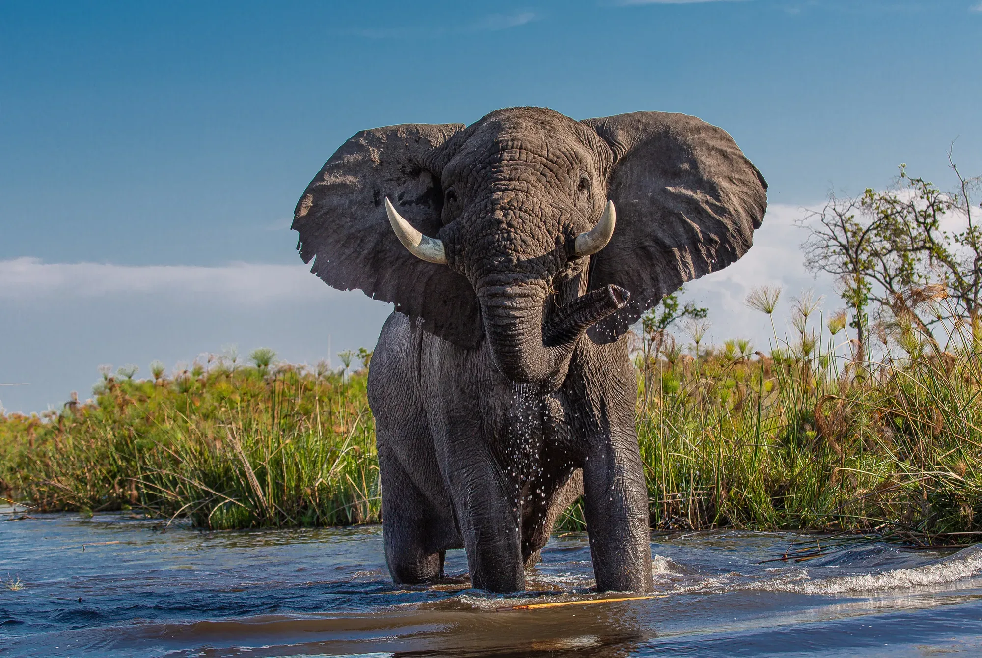 Southern Tanzania Explorer