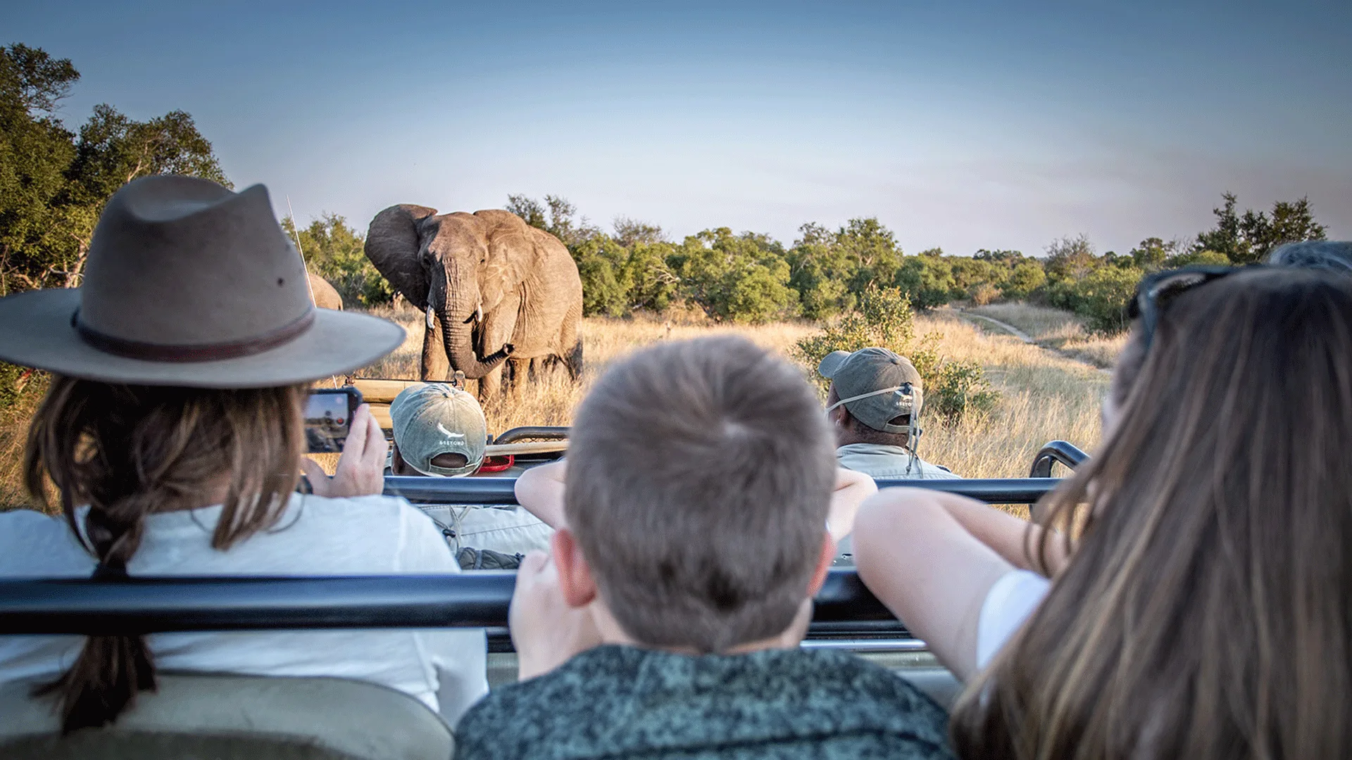 Family Safari Adventure