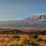 Kilimanjaro Northern Circuit 10 Days Trek