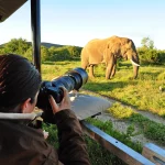 Photography Safaris