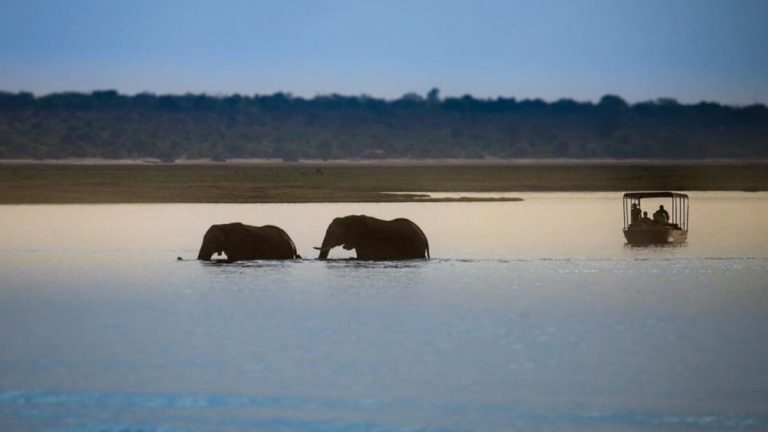 Saadani National Park