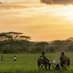 Honeymoon Safaris