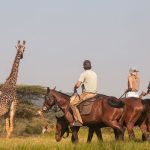 Horseback Safaris