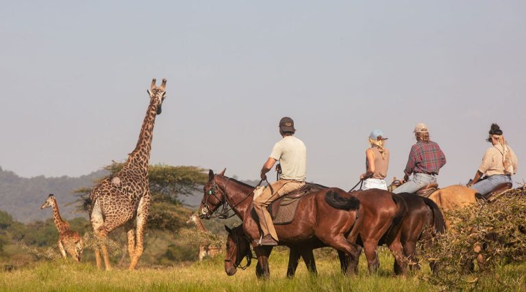 Horseback Safaris