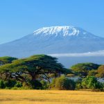 Mount Kilimanjaro