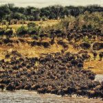 Serengeti National Park