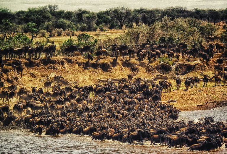 Serengeti National Park