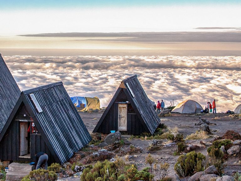 7-Day Kilimanjaro Marangu Route Trek