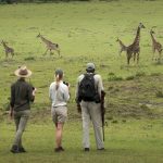 Walking Safaris