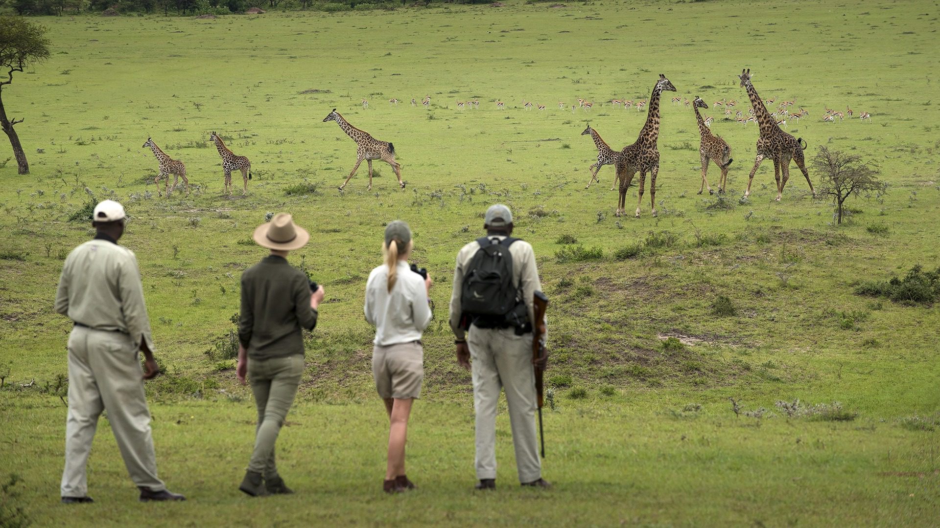 Walking Safaris