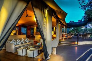 Luxury Tanzania Safari Trips & Travel